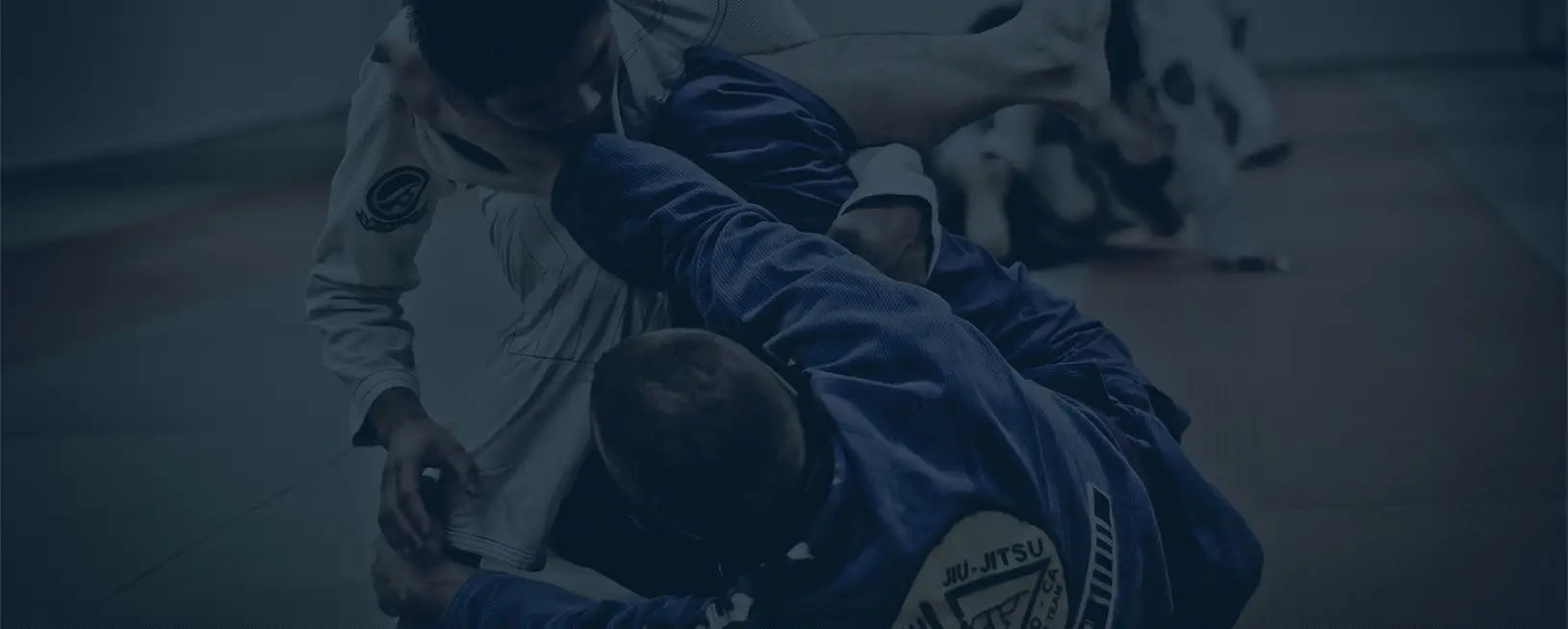 Dartford BJJ
