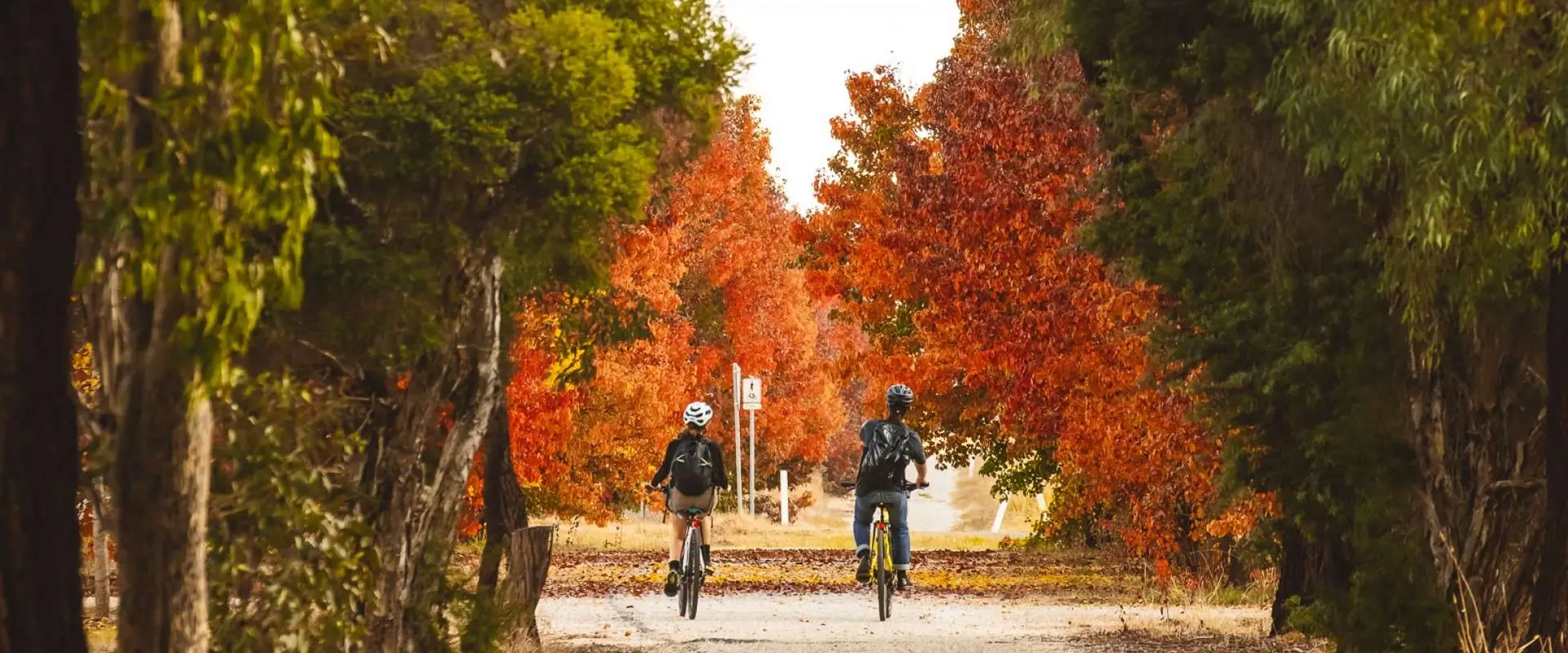 Mitchell Avenue Pump Track