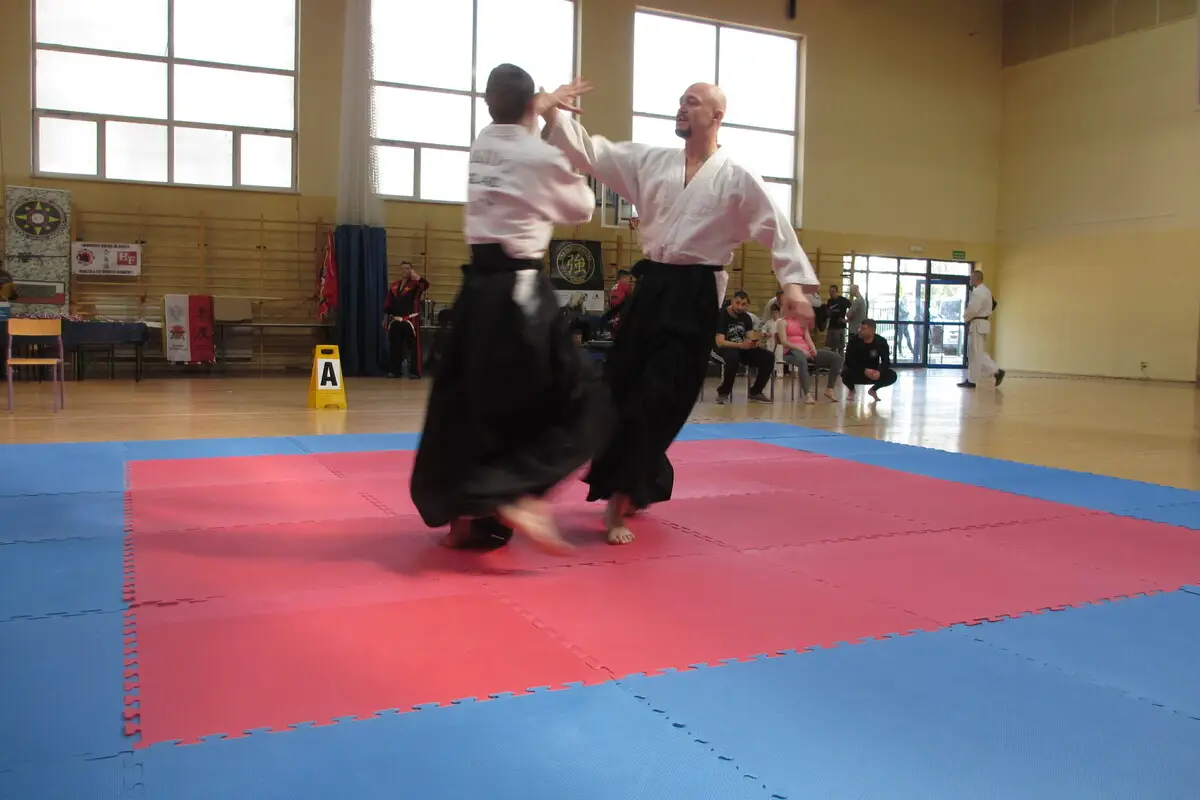 Akademia Aikido w Anglii