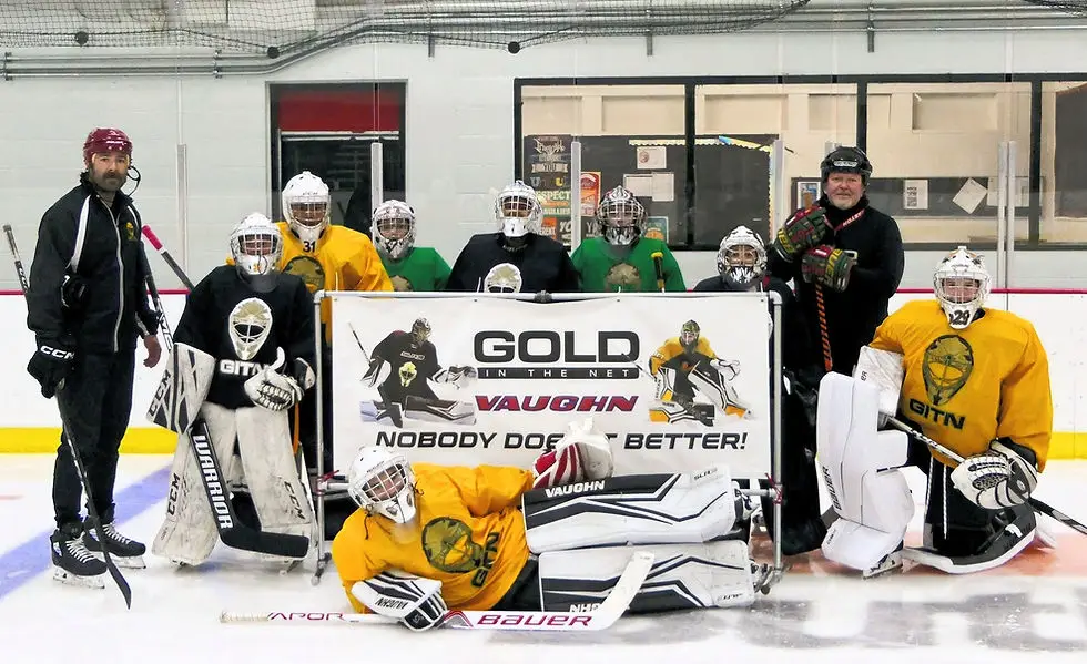 Gold in the Net Edmonton