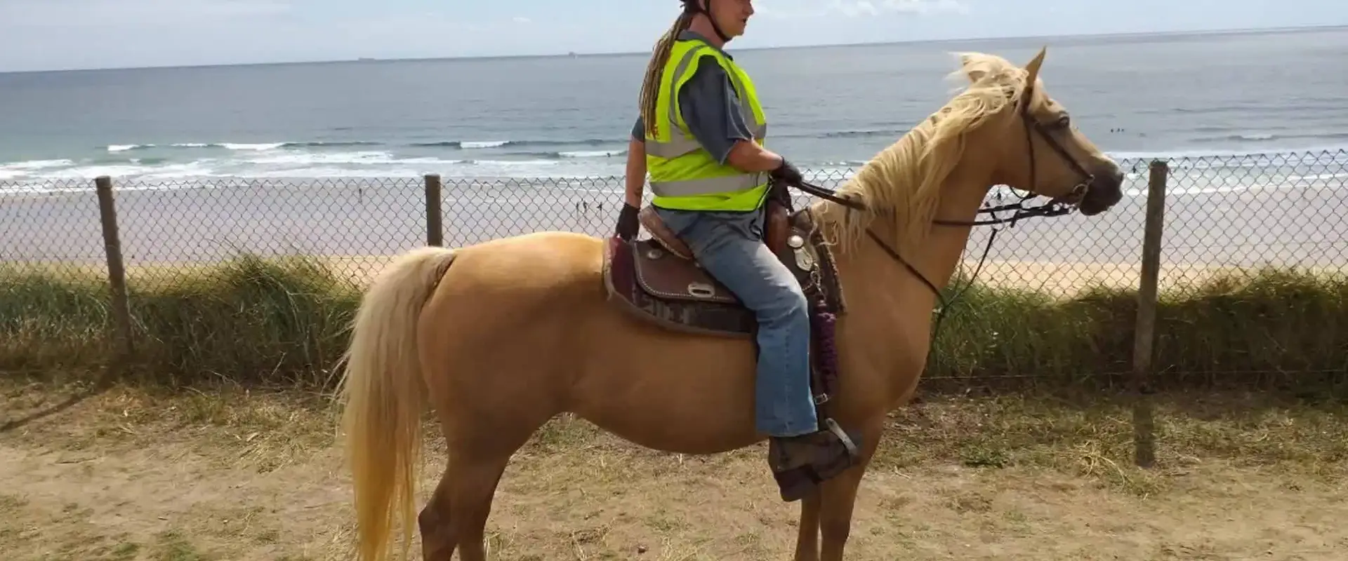 St Hilary Equine Centre