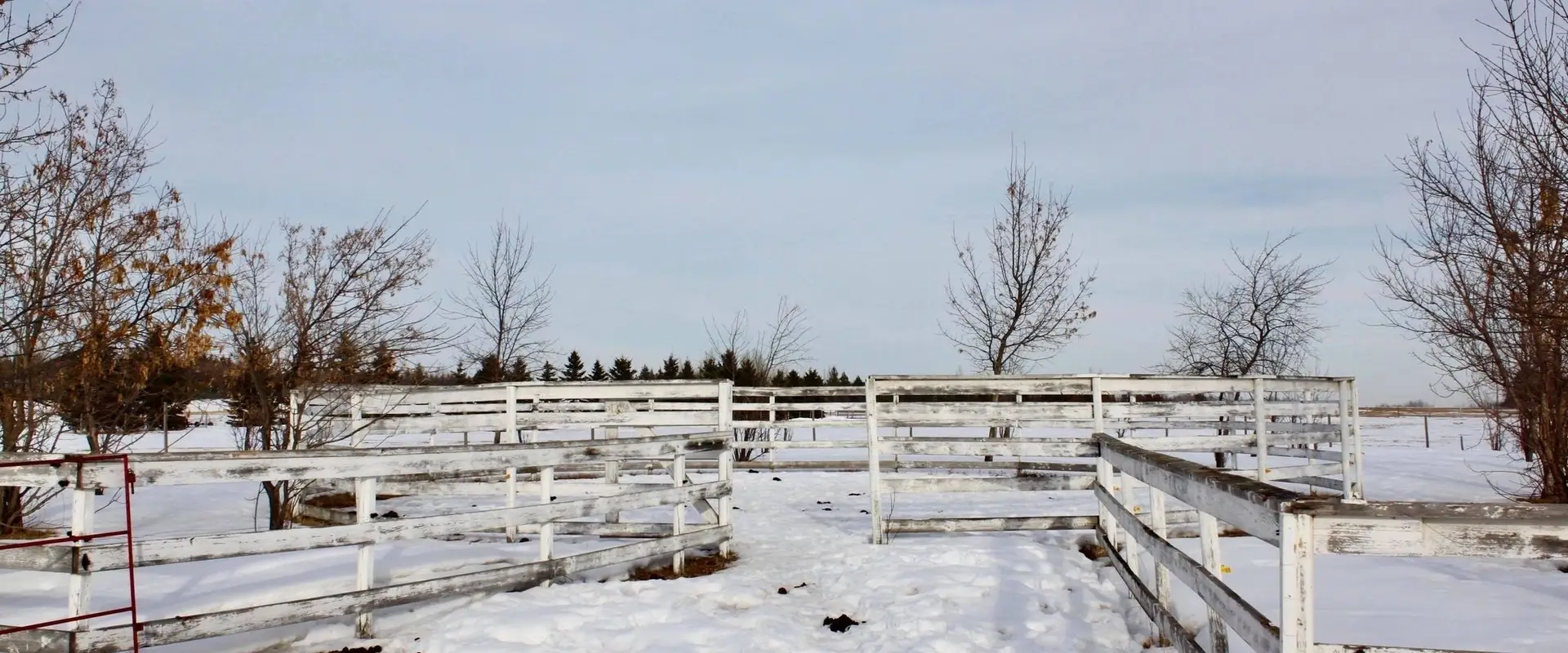 Paradise Acres Ranch
