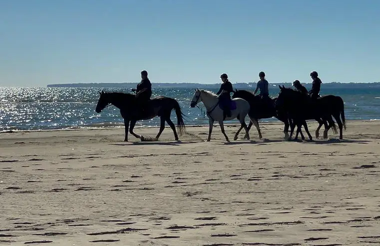 Pony Club De Silly