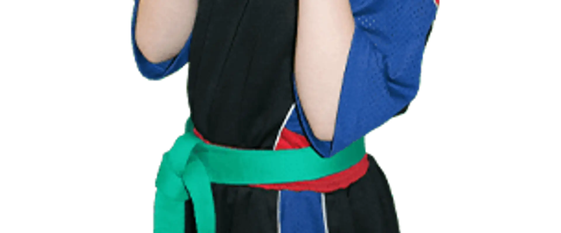 Kaiju Martial Arts