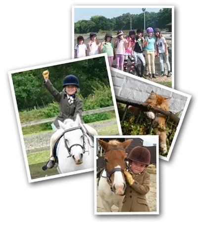Weybridge Equestrian Centre