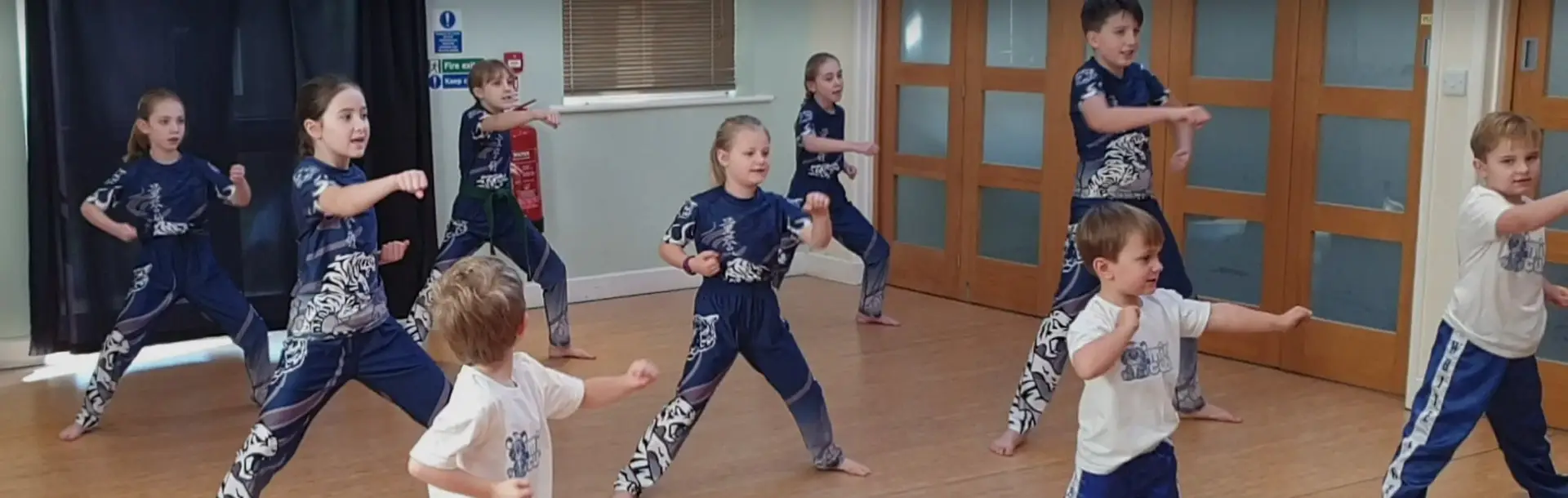 White Tiger Martial Arts and Fitness