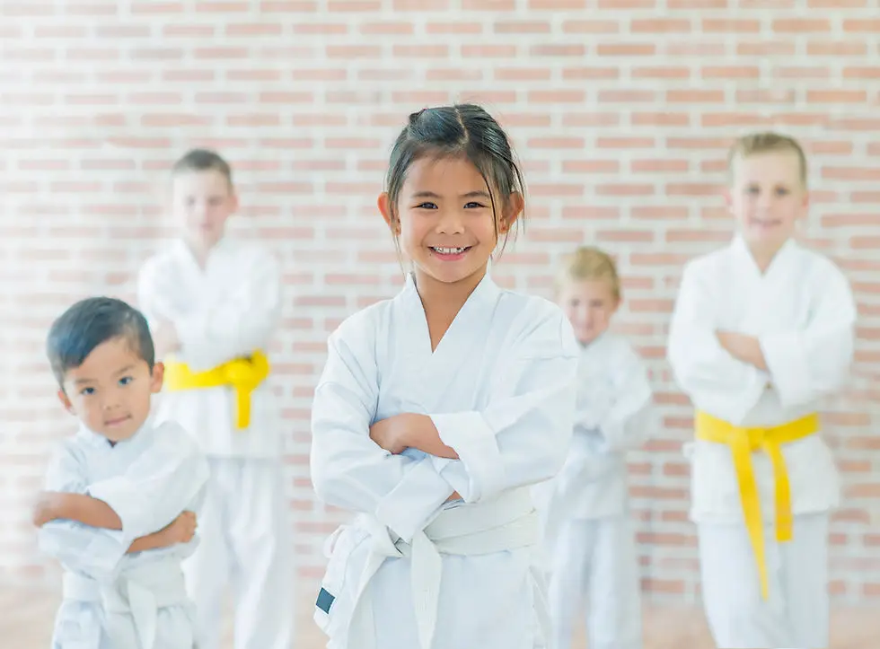UKTI Stopsley Martial Arts