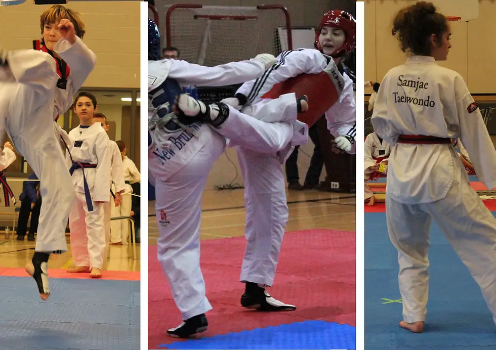Samjae Taekwondo Martial Arts School