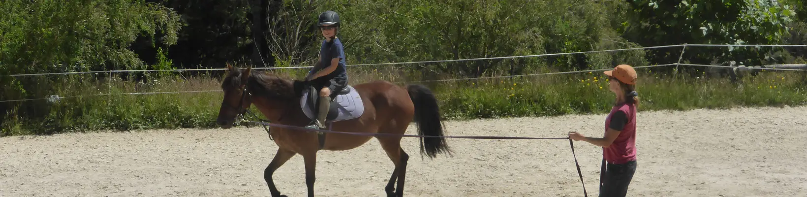 Carolin's Equine Services