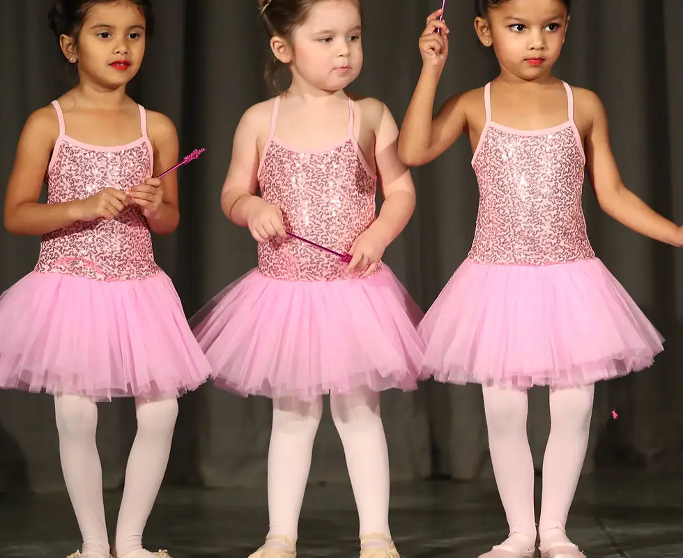 The Alexandra School Of Performing Arts