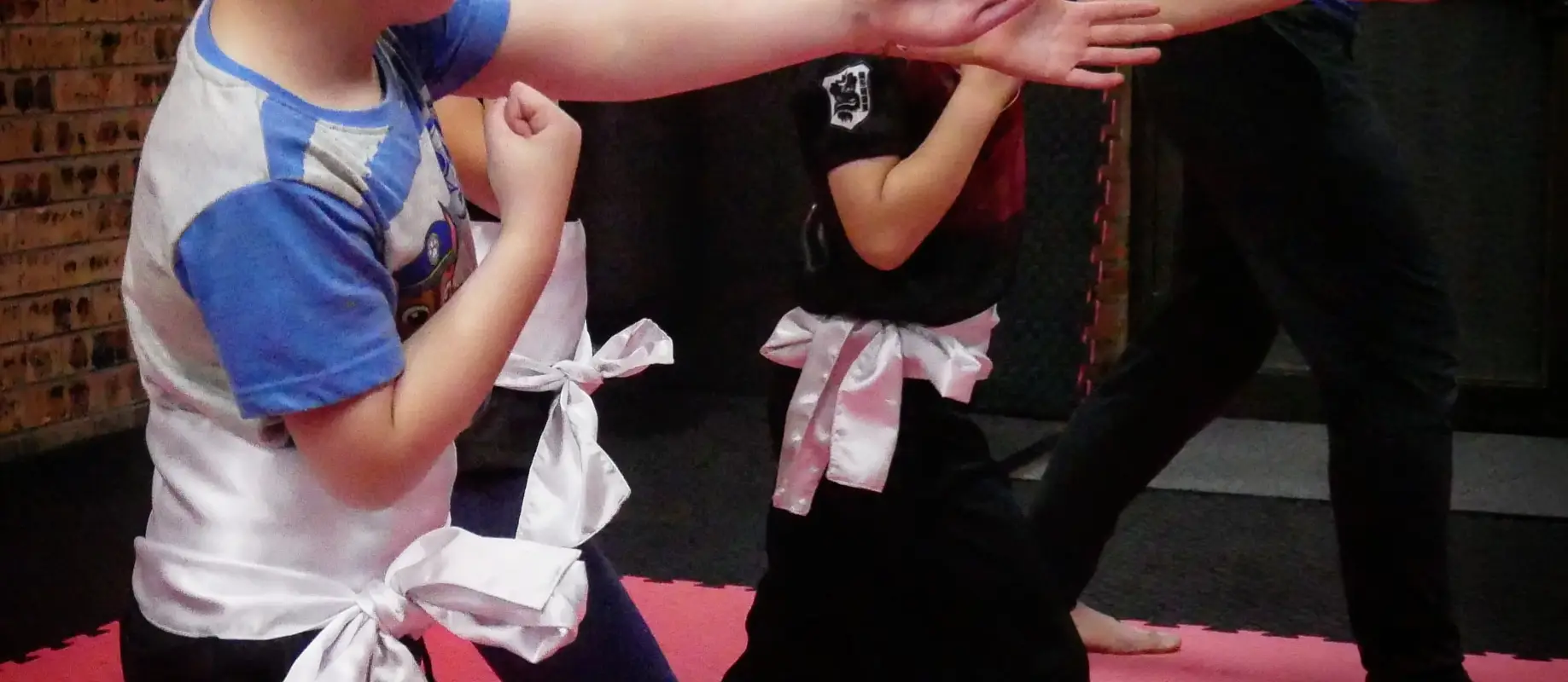 Dragon Style Martial Arts