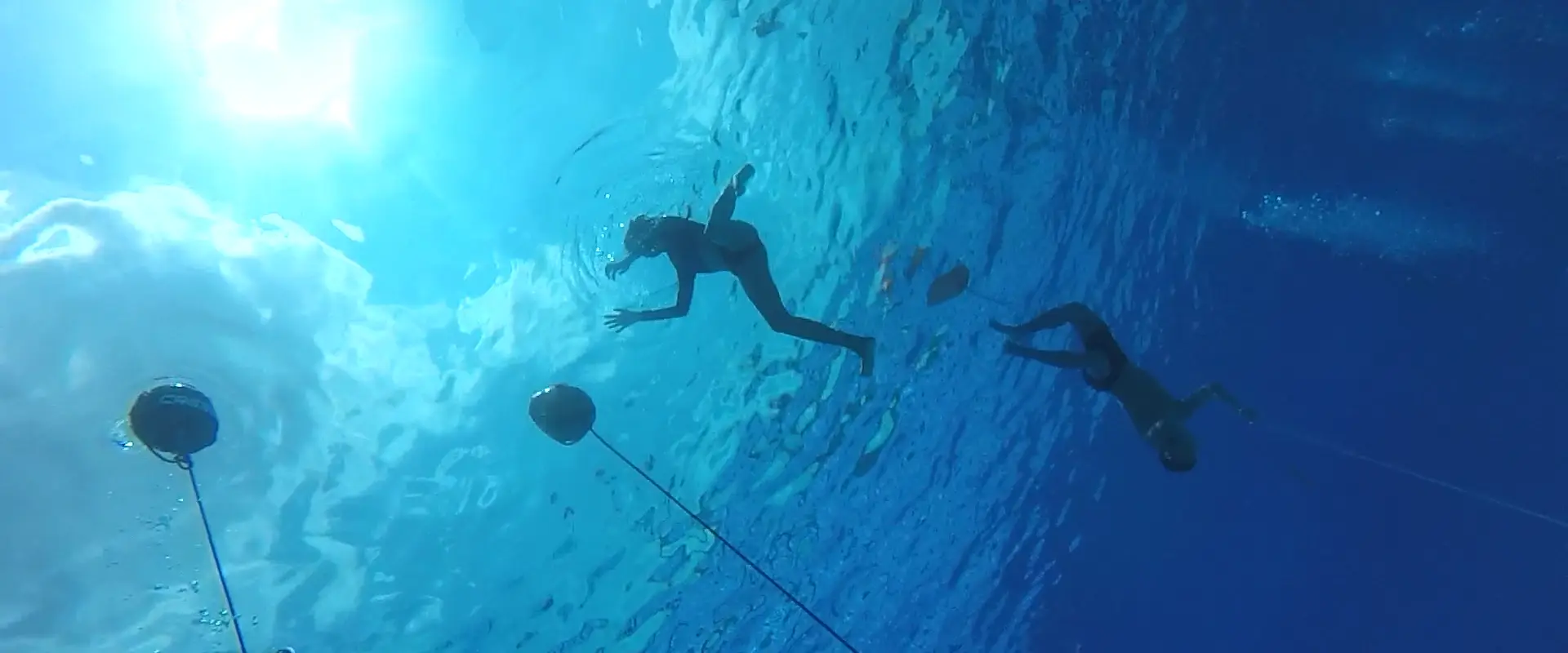 Freediving