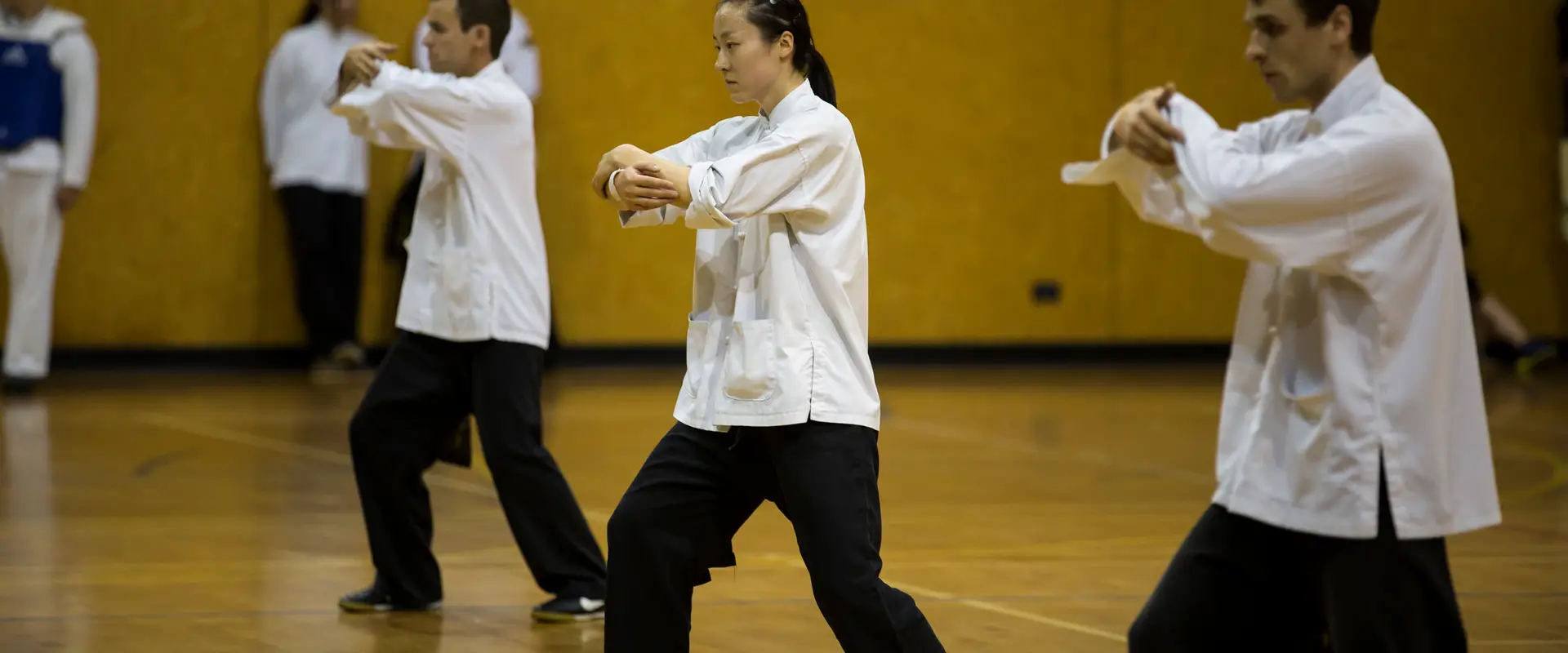 Chans Martial Arts Wellington