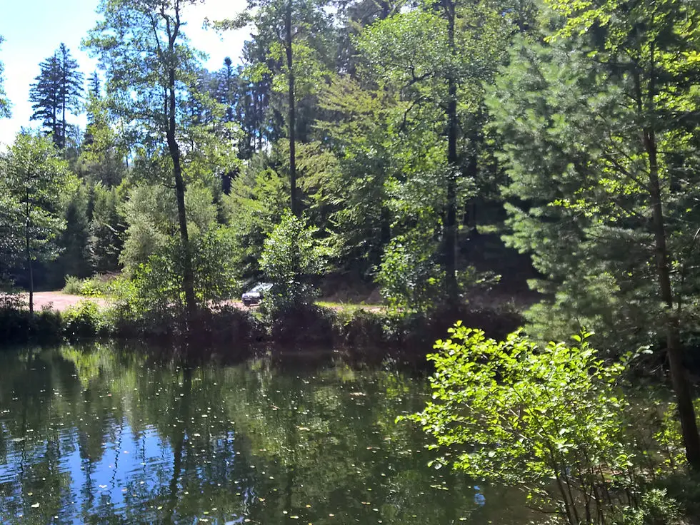 Nature&Fit