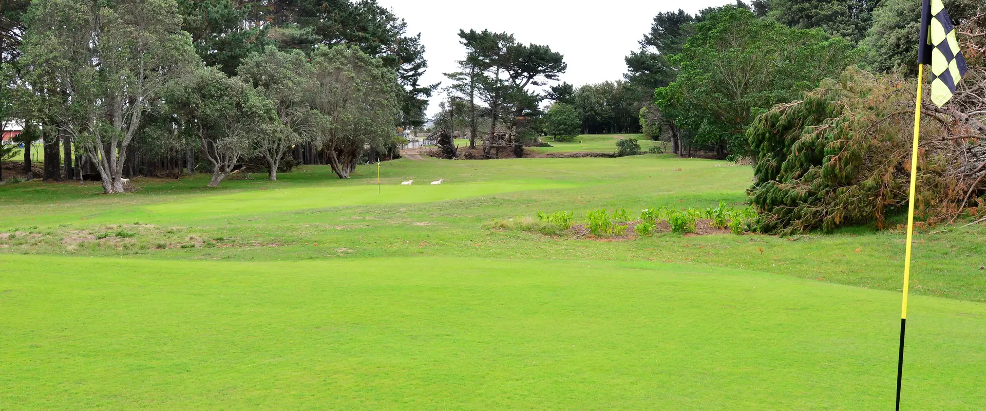 Opunake Golf Club