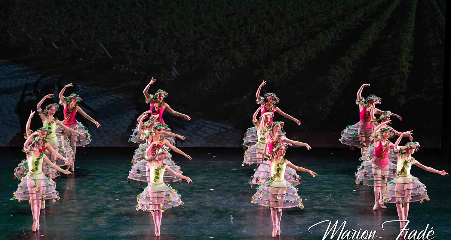 Dance Academy La Sylvaine