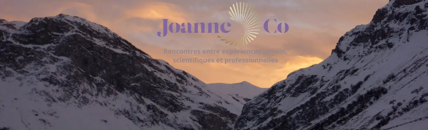 Joanne&Co