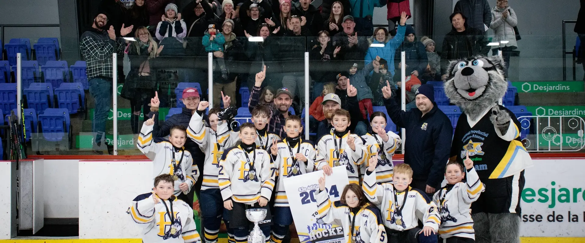 Association Hockey Mineur De Cowansville