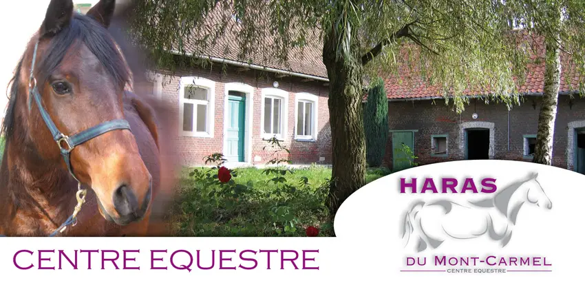 Haras Du Mont Carmel