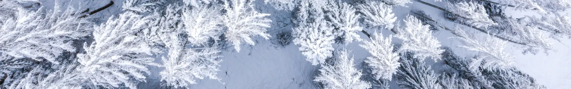 Ski resort Jasenská Dolina