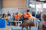 Equestrian Center De La Zorn