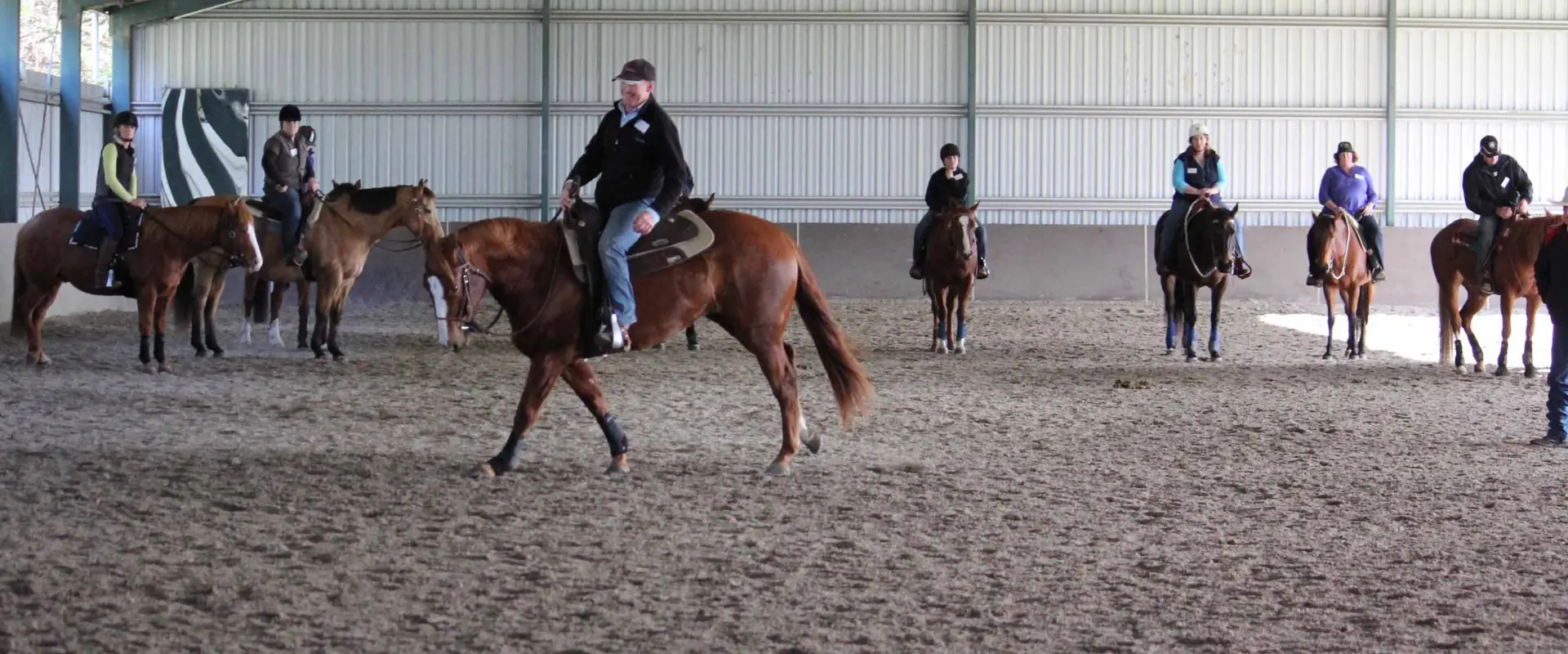 Roseneath Performance Horses