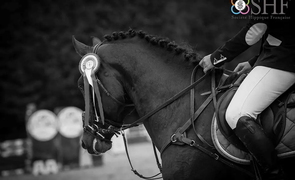 Ecuries Virginie Leblond