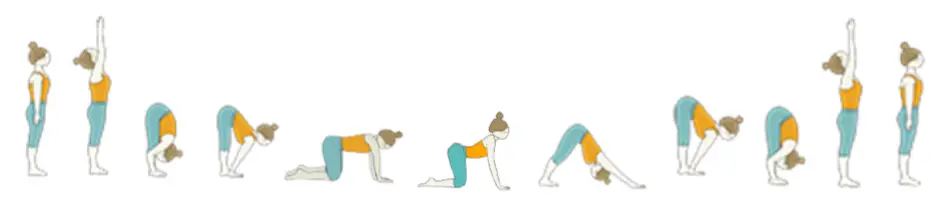 Lotus Birth Yoga