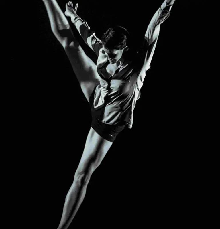 Pro Vie Danse