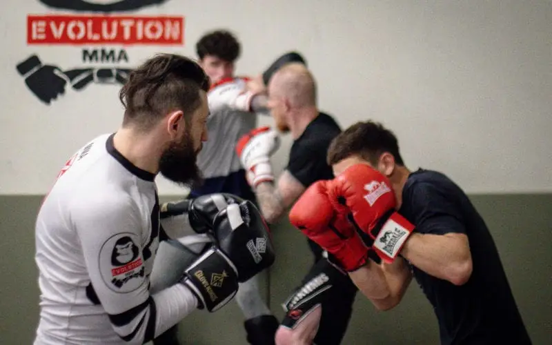 Evolution MMA