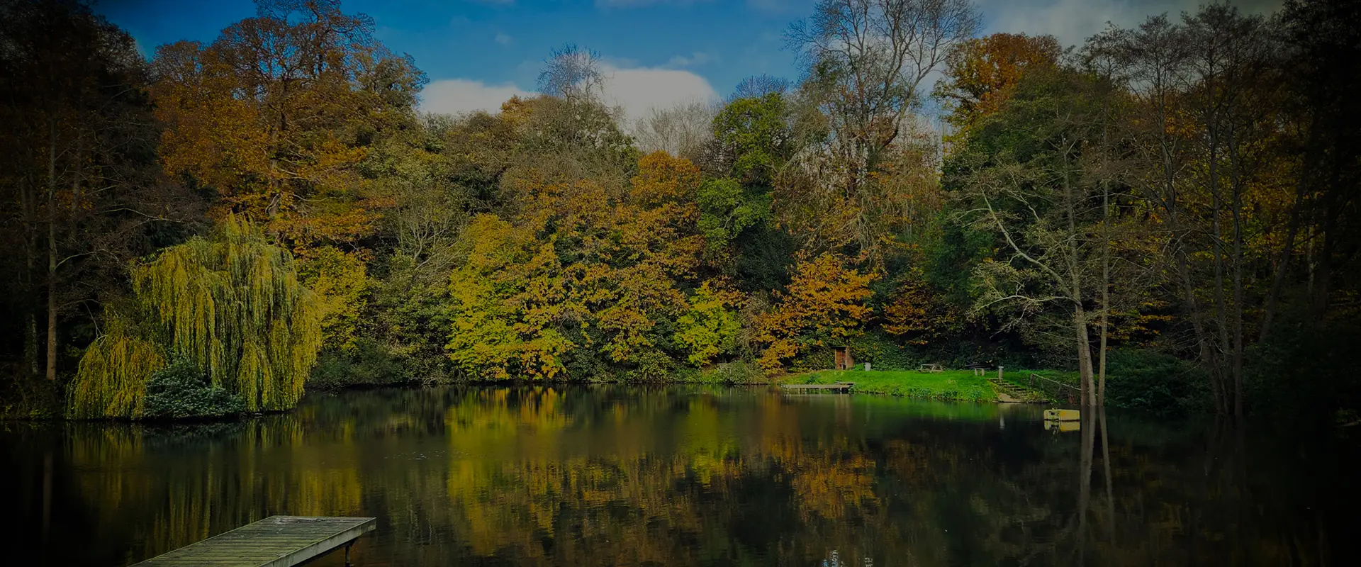 Leigh Mill Fishing