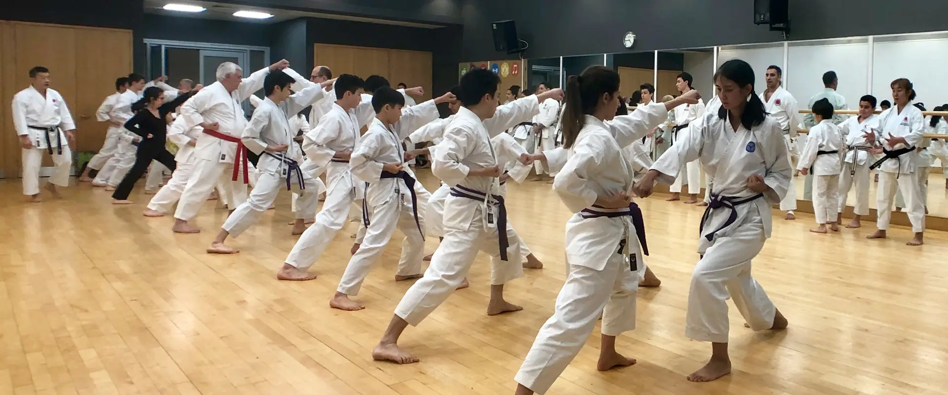 Shiranamikai JKA Shotokan Karate