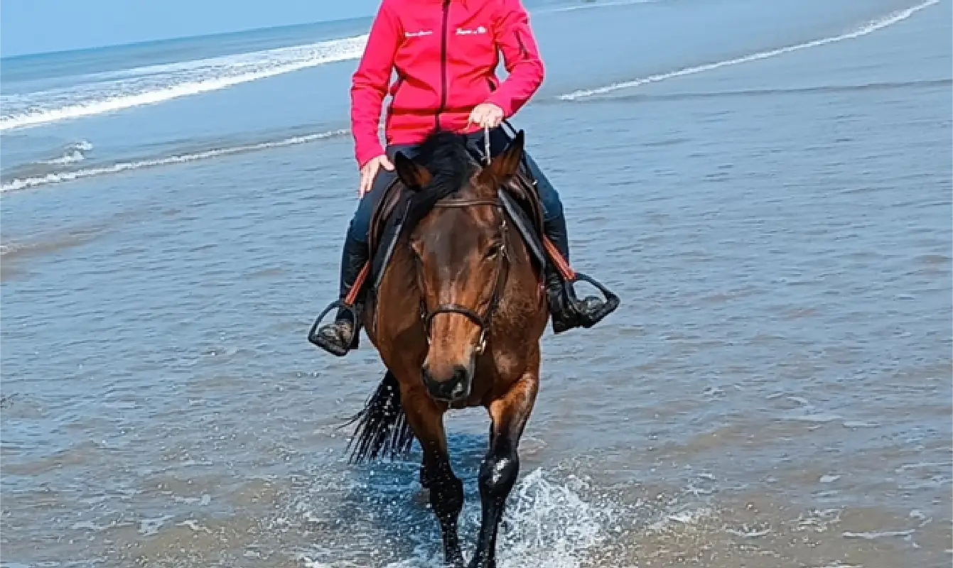 Horse Club Havre De Vie