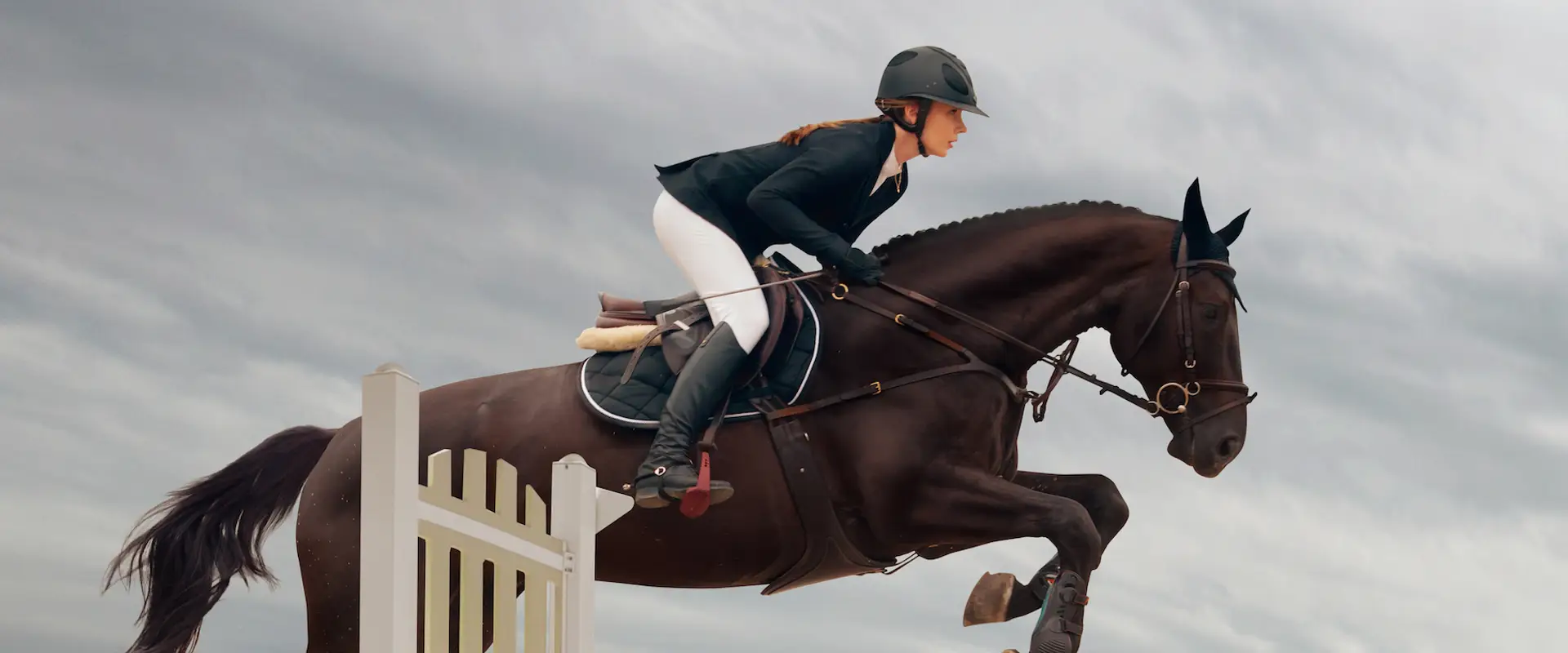 Equestrian Australia