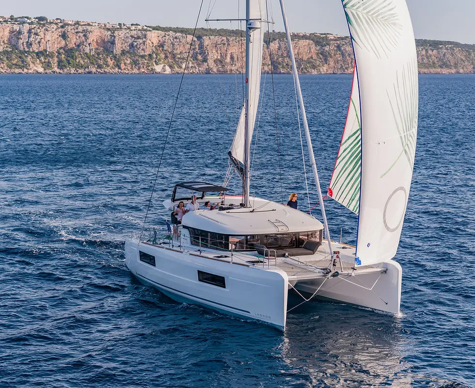School Of Cruise Catamaran Sea Rider
