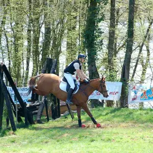 Ecurie Du Chatel