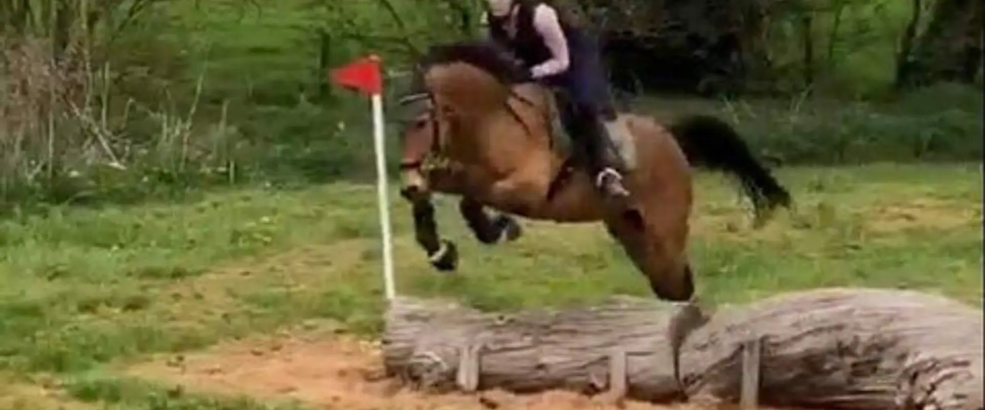 Poplars Farm Cross Country