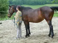 Equestrian Center Autrement