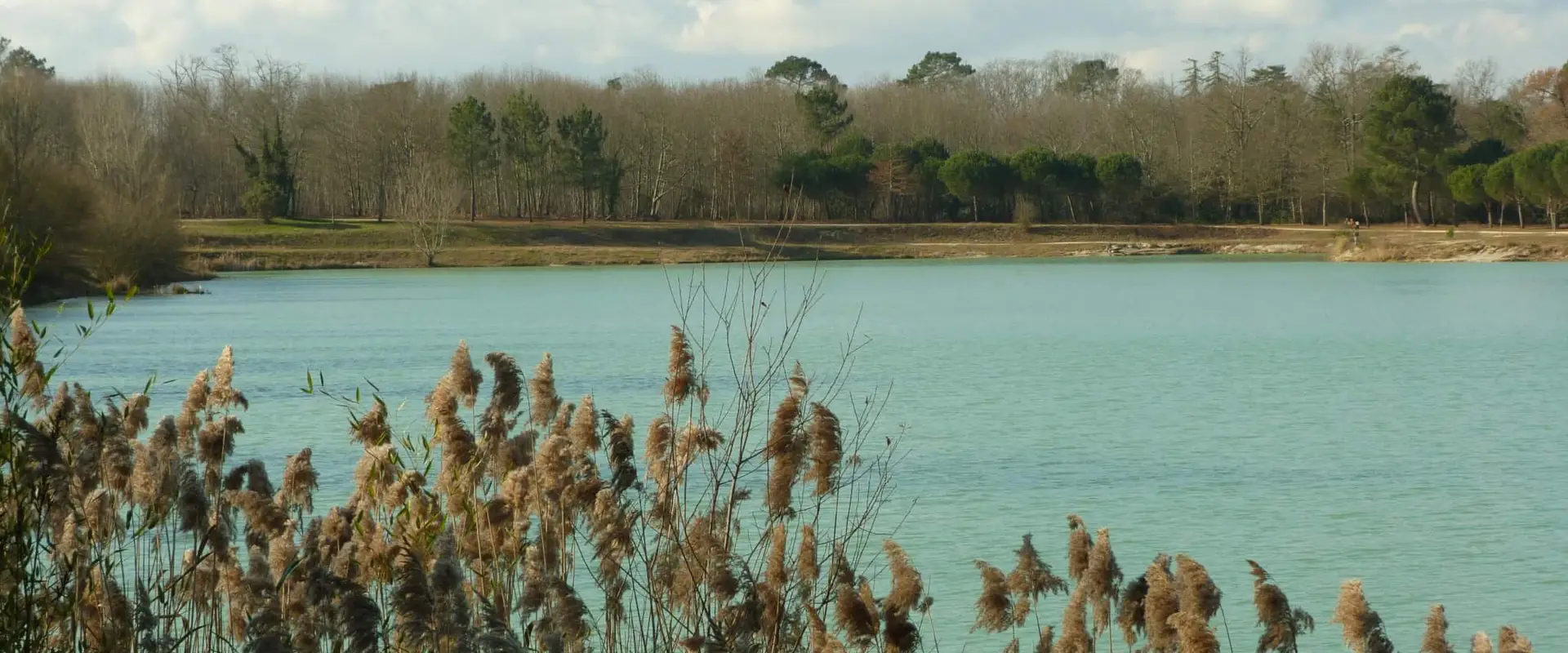 Fédération de Pêche de la Gironde