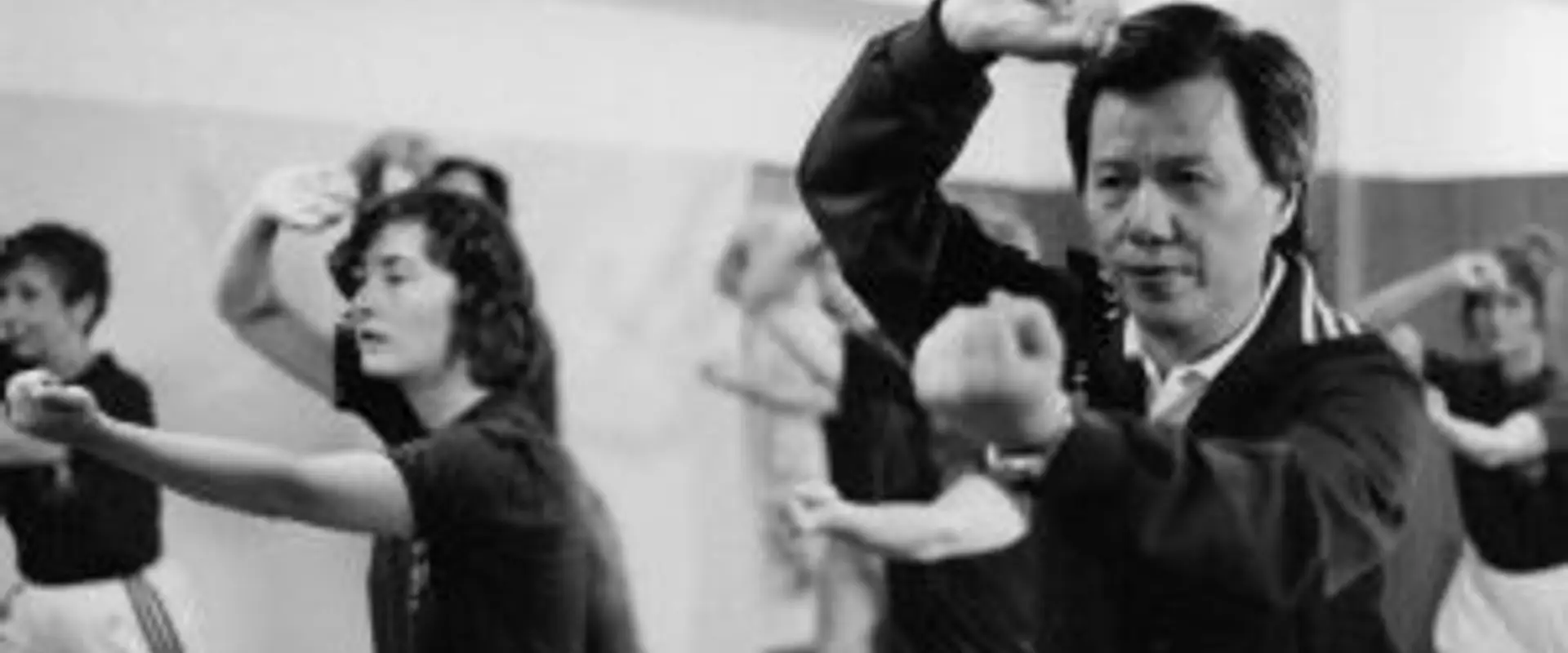 Taoist Tai Chi Society of NZ