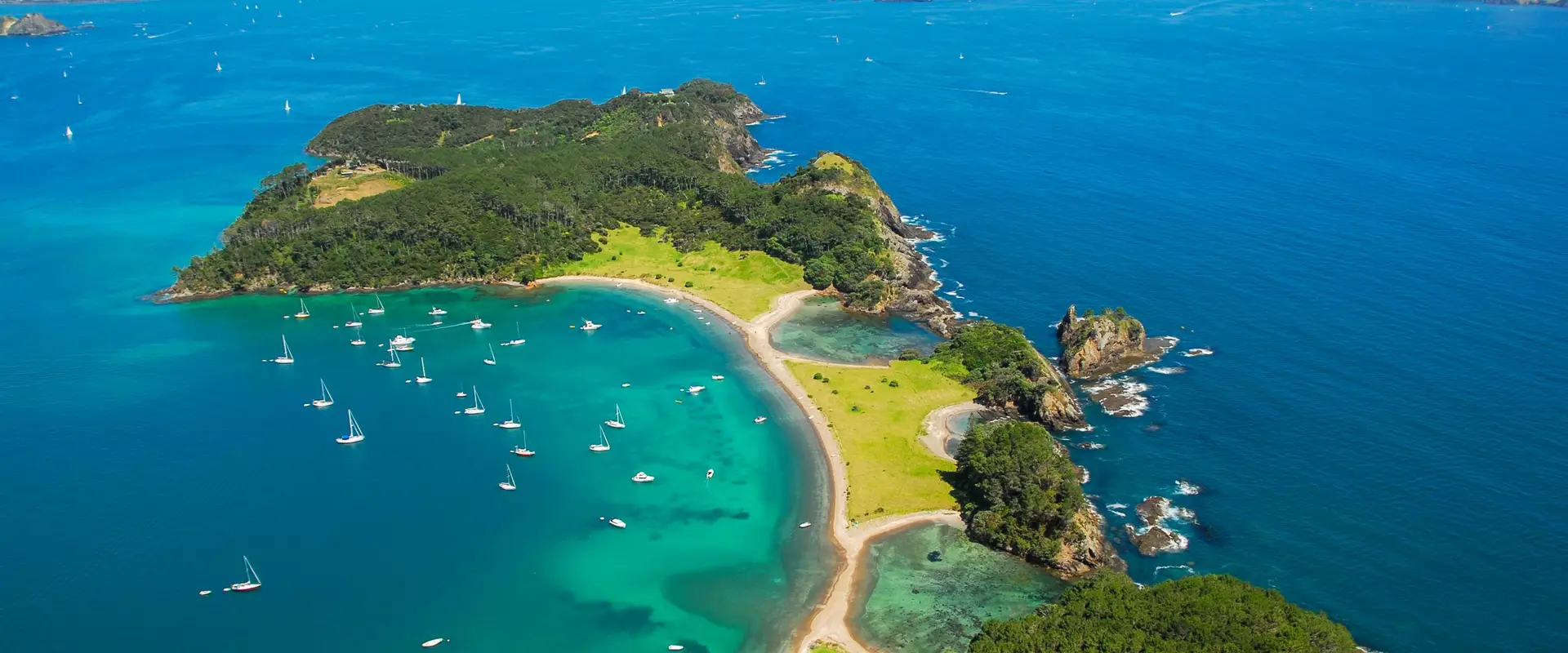 Fish Bay of Islands