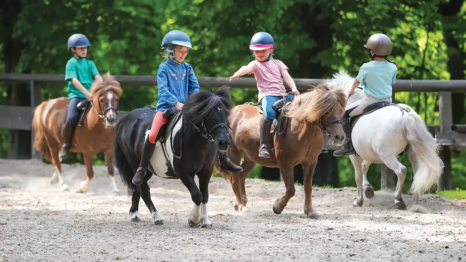 Abc Poney