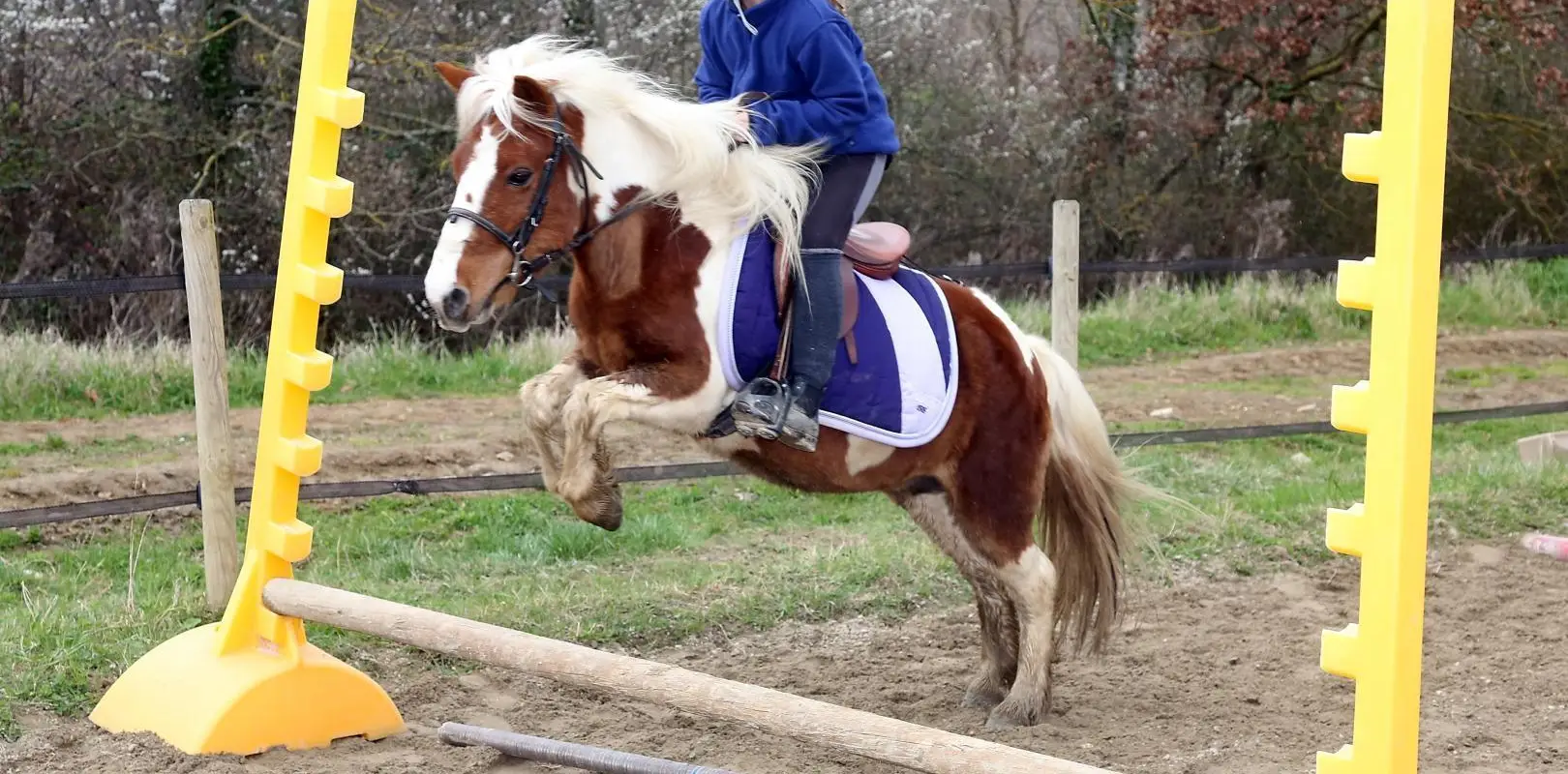 Pony Gônes