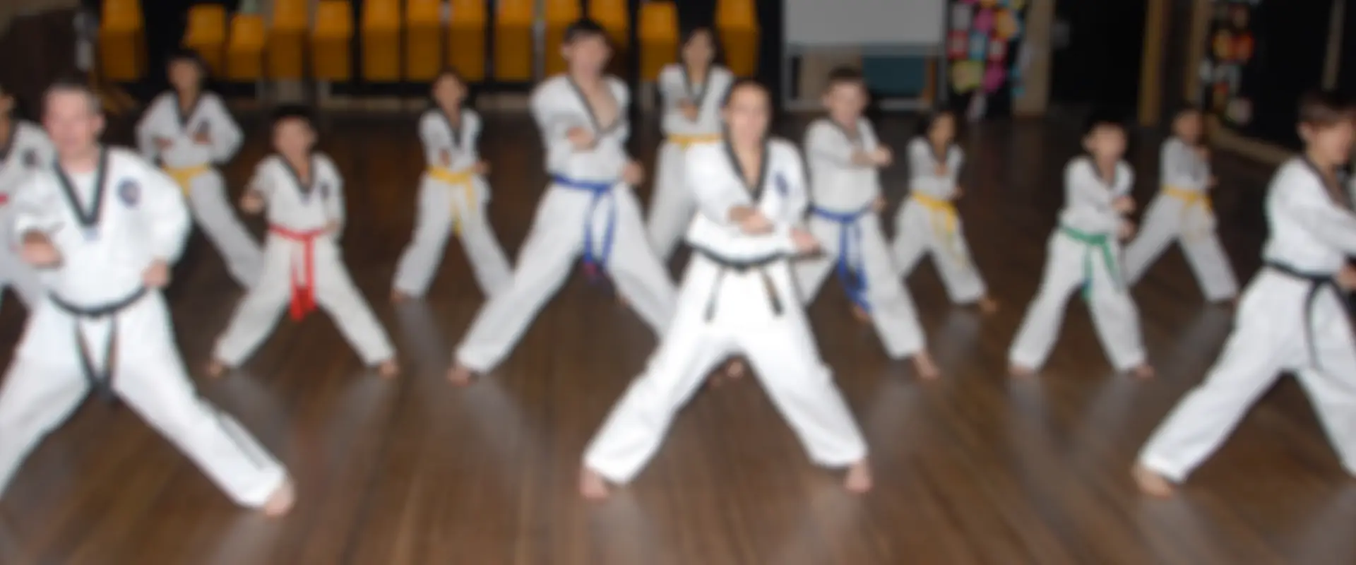 Lion Park's Tae Kwon Do & Self Defence