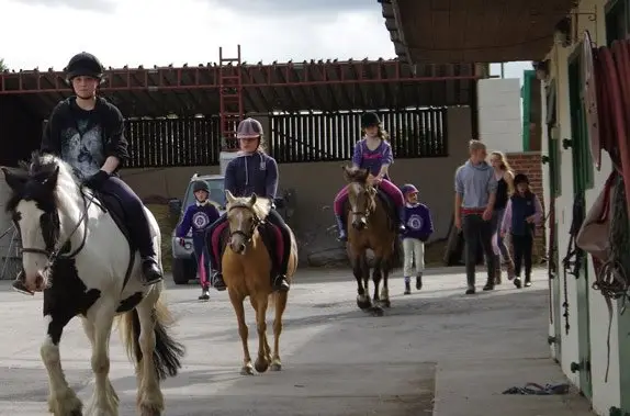 Cliffhollins Riding School