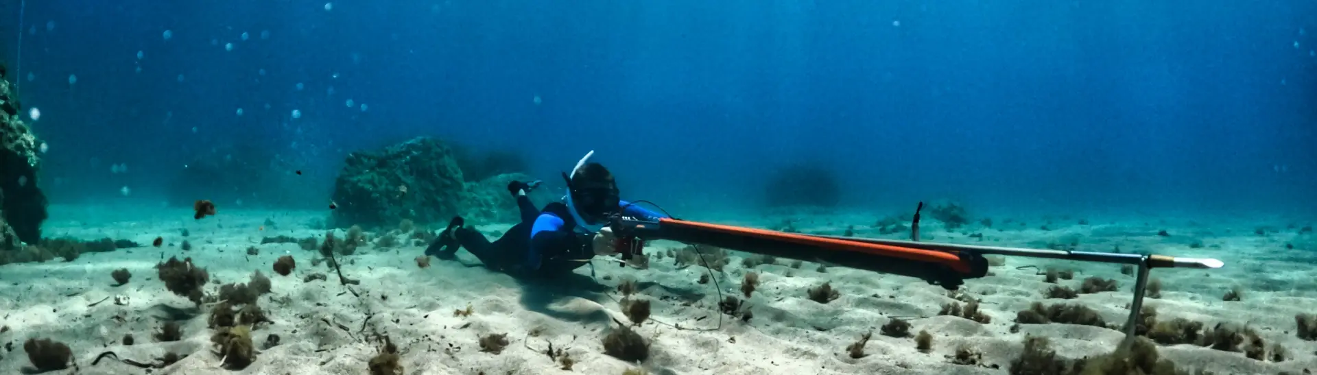 Vitamin Sea Diving