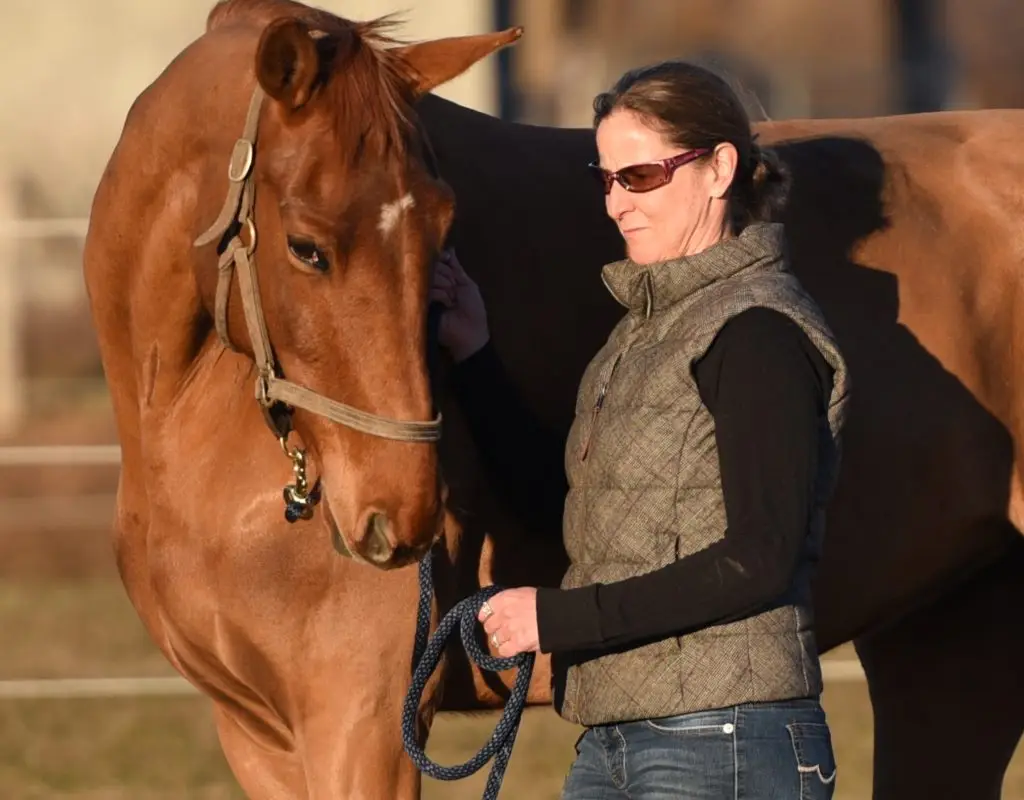 Unbridled Coaching