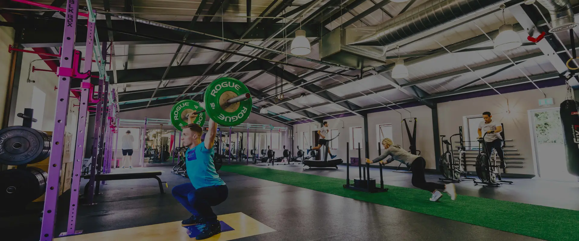 The Gym Project