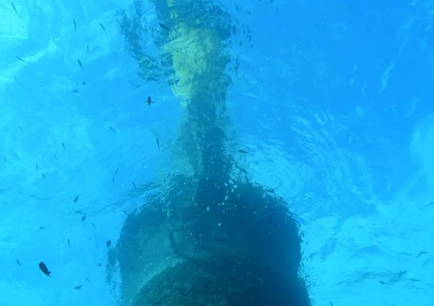 Bonifacio Plongée - Diving Center