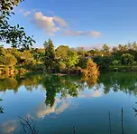 Higher Shorston Lakes